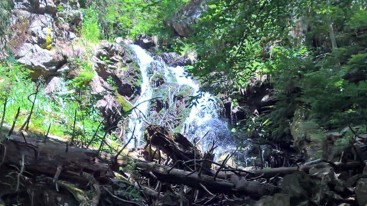 Hotel Zur Waldbahn Zwiesel Εξωτερικό φωτογραφία